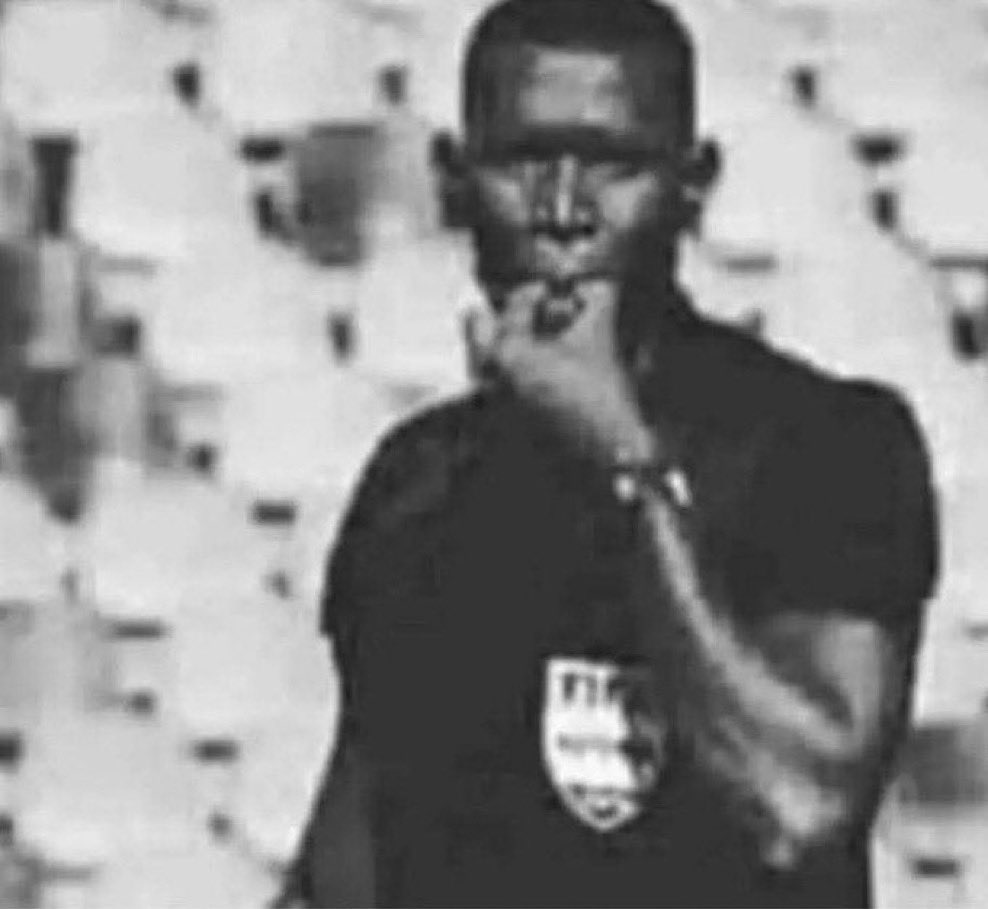 🇲🇱 tweet media