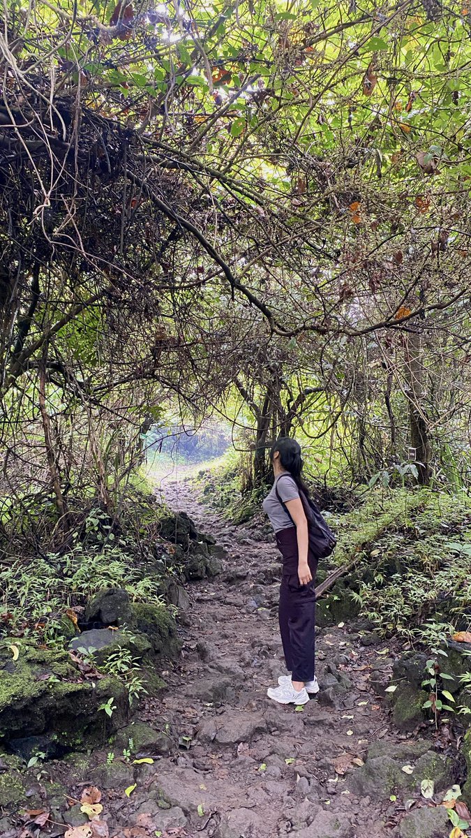 saagytarius's tweet image. draft trekking sebelum masuk rs