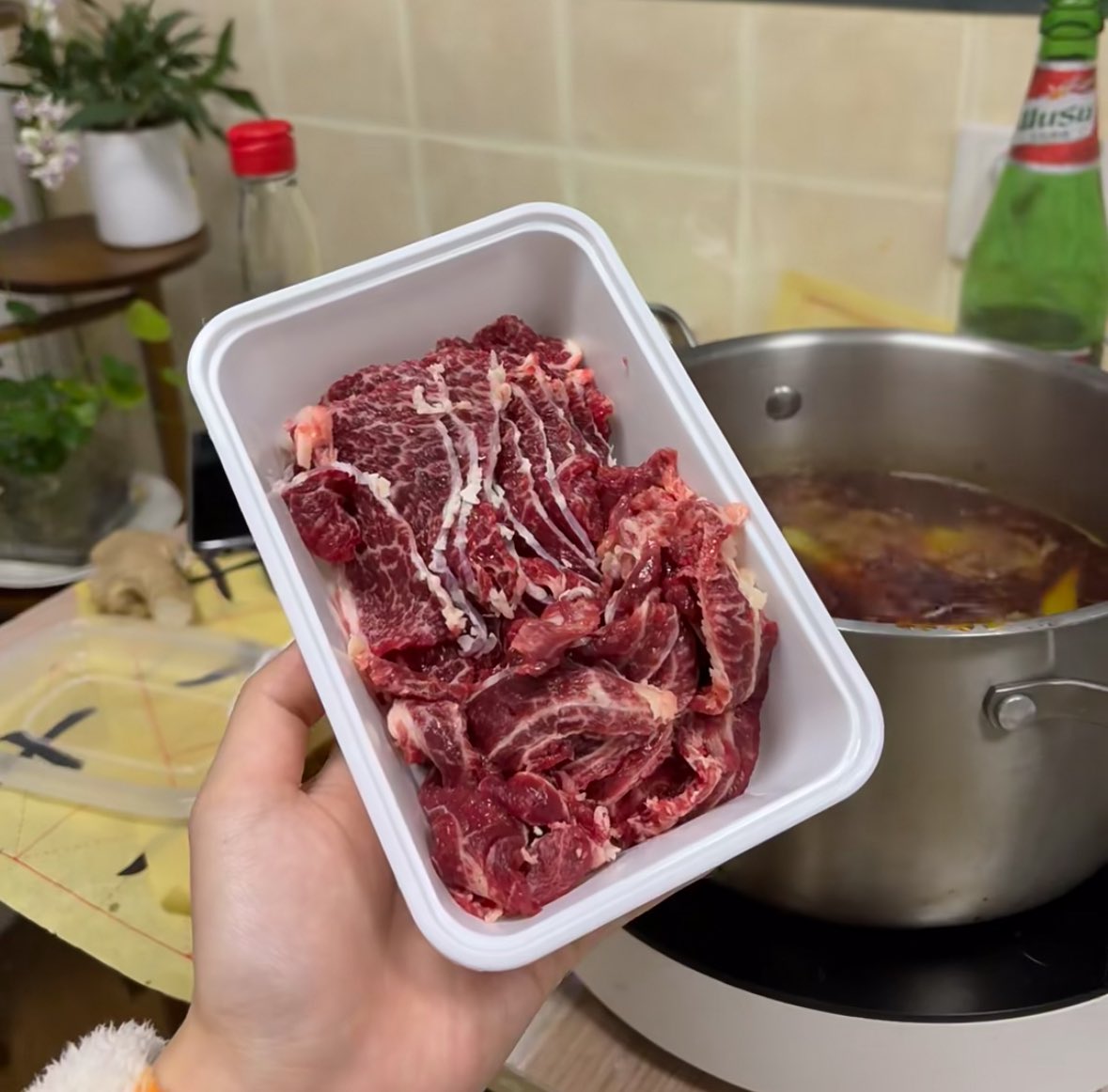 Marshal 橙大帅 | Bird🕊️ tweet media