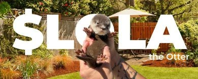smart_tard's tweet photo. Meet $Lola
Virality like this can’t be manufactured.

Cuteness can never be ignored.

$LOLA already won attention  price just hasn’t caught up.

EZ 10M
E1dtJs9uY31fVJKyeekBcQD5QKw4hJcTjbYjzm3e0GusB https://t.co/BUbQFeAB8f