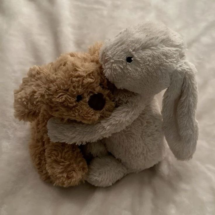 daily teddy bear daniel molloy tweet media
