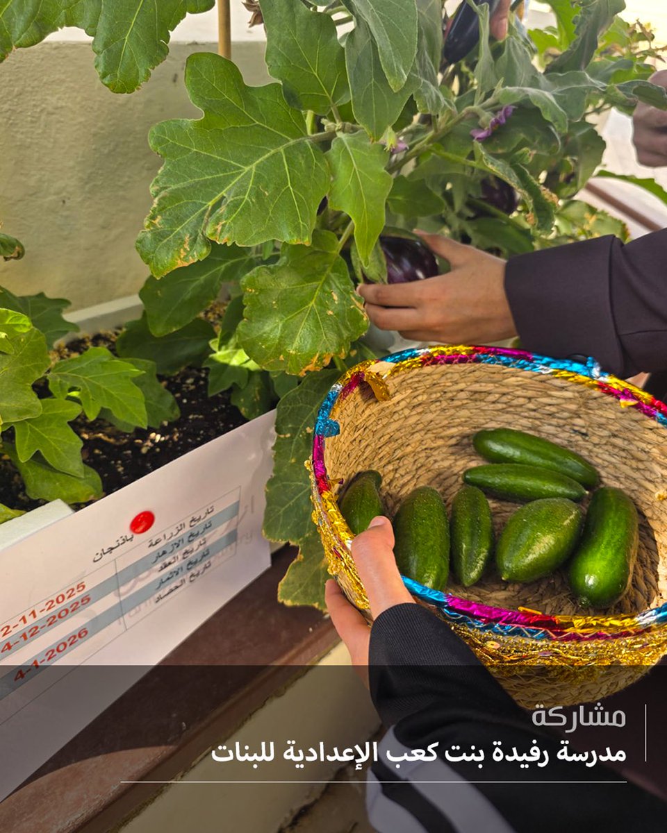 الفيصل بلا حدود tweet media