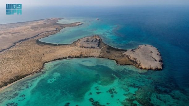 محافظة الليث tweet media