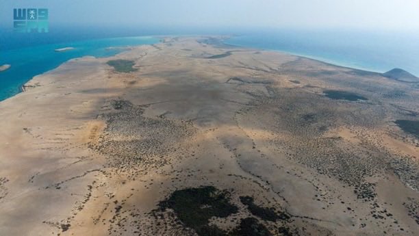 محافظة الليث tweet media