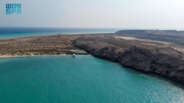 محافظة الليث tweet media