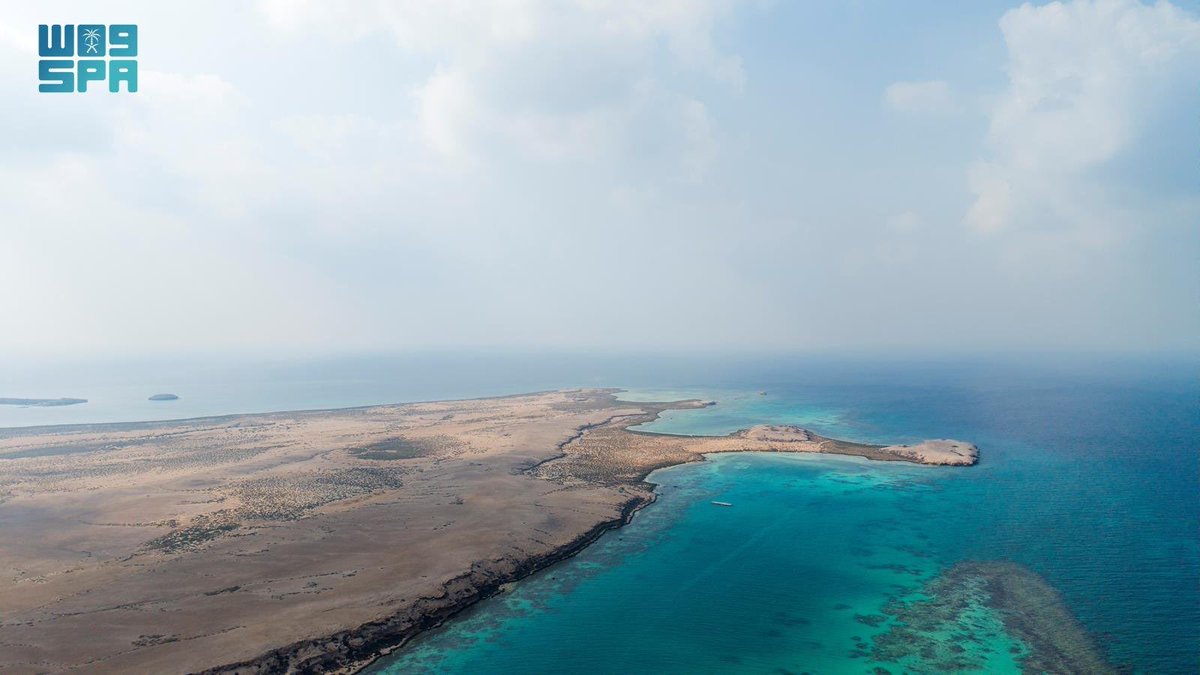 محافظة الليث tweet media