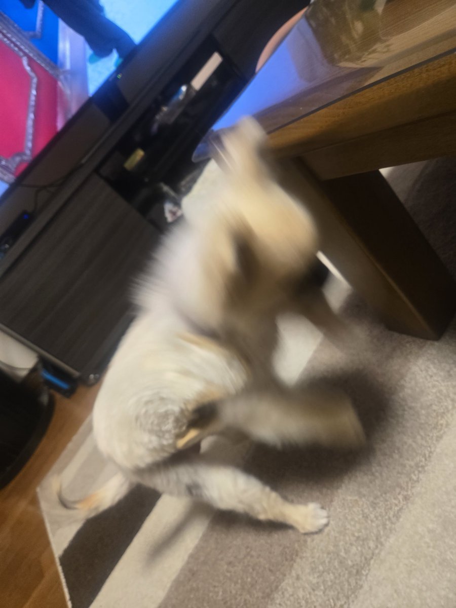 もらんこ tweet media