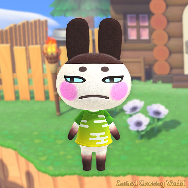 Animal Crossing World 🏝️ tweet media