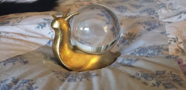 equine__dentist's tweet image. pondering the snorb