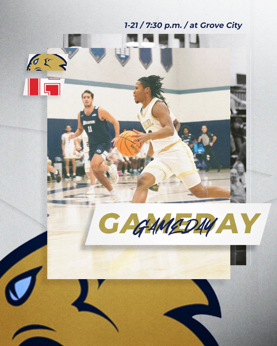 Thiel Athletics tweet media