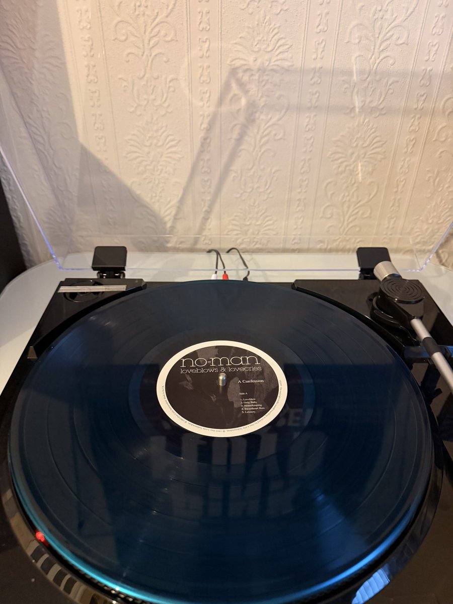 between the moon and the tide 🎸 tweet media