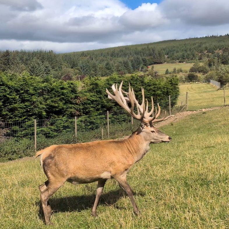 AberdeenshireEconDev tweet media
