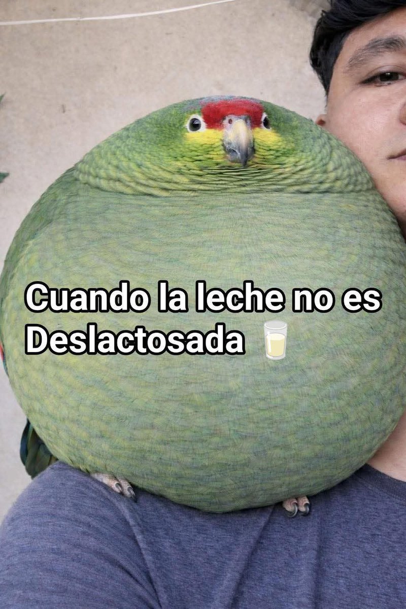 M O T I V A N D O T E (@m0tivand0te) on Twitter photo 