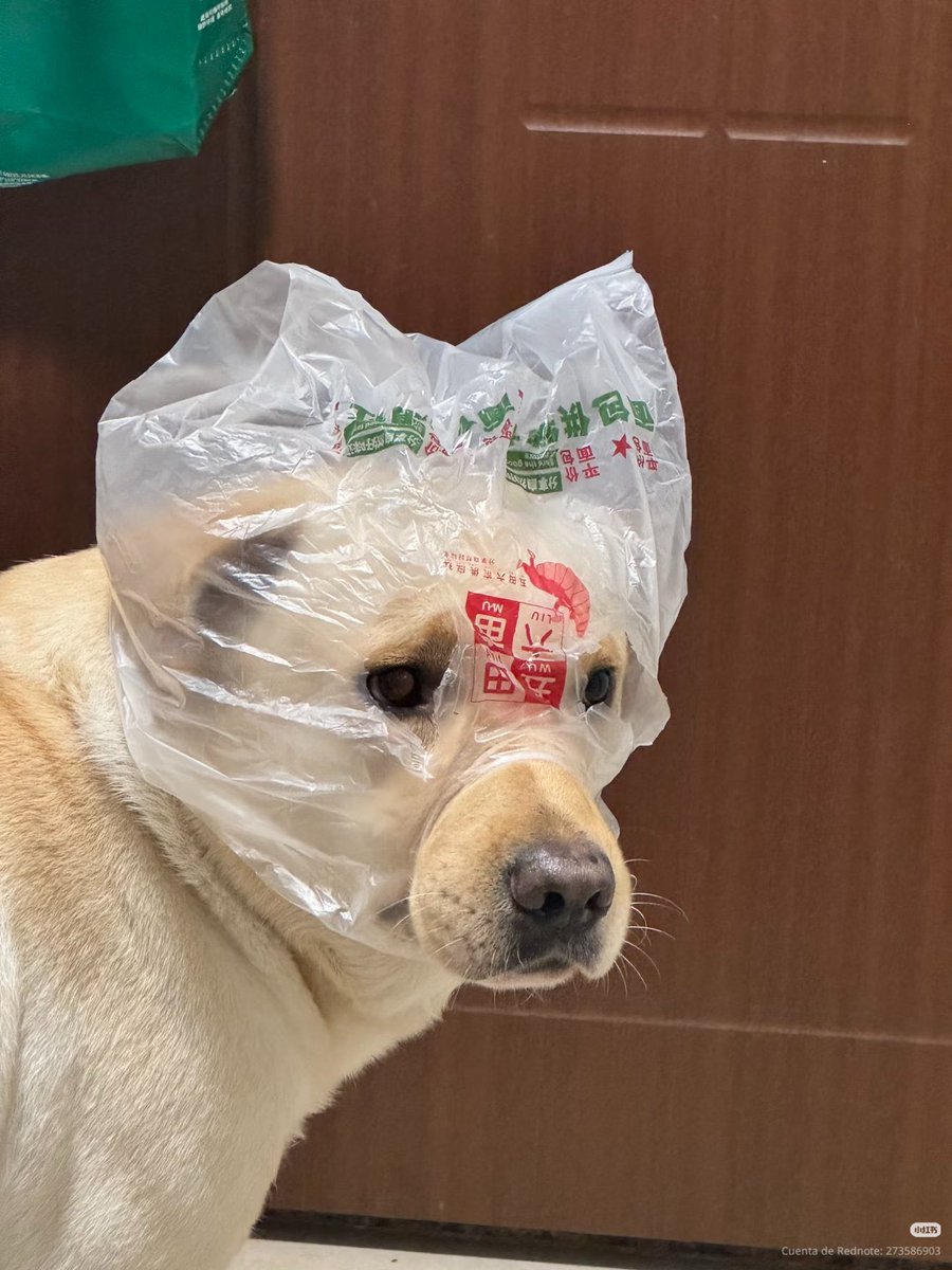 twaniimals's tweet image. 