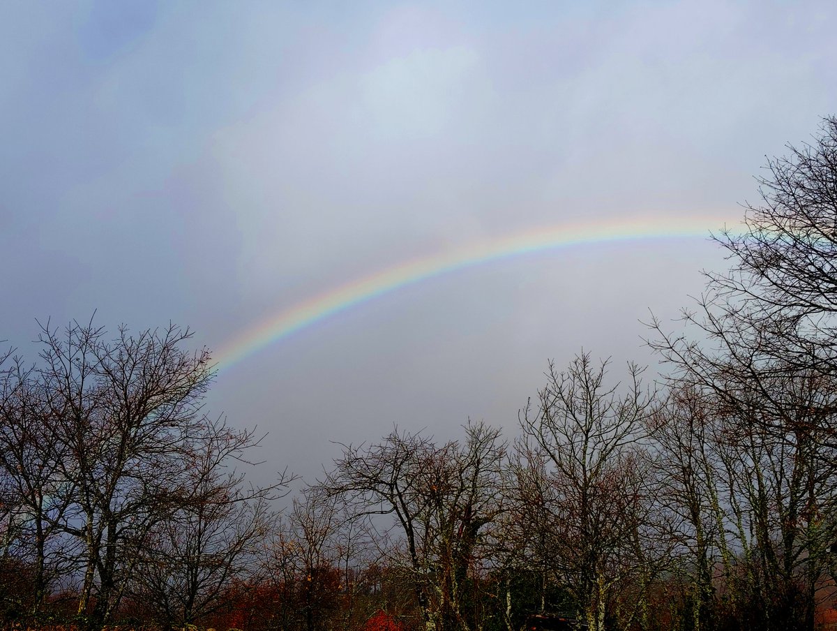 A maxia do Xurés tweet media