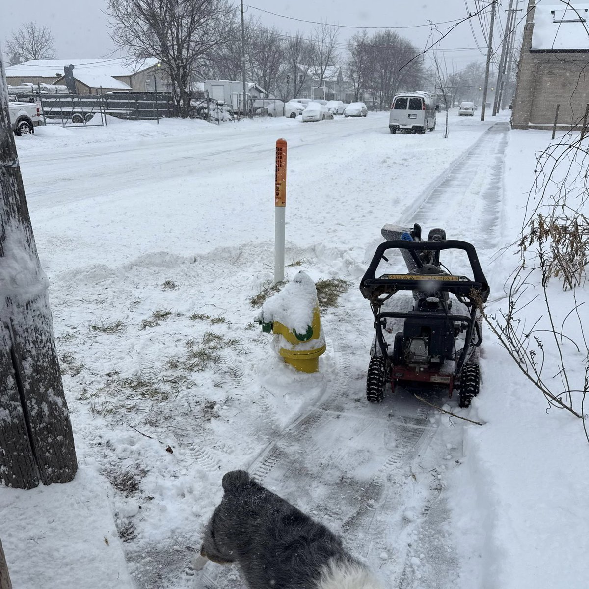 KalPublicSafety's tweet photo. 𝗦𝗻𝗼𝘄𝗳𝗮𝗹𝗹 𝗥𝗲𝗺𝗶𝗻𝗱𝗲𝗿: 𝗖𝗹𝗲𝗮𝗿 𝗙𝗶𝗿𝗲 𝗛𝘆𝗱𝗿𝗮𝗻𝘁𝘀

With snow expected throughout the weekend, residents are asked to help by clearing snow away from nearby fire hydrants.

Keeping hydrants visible and accessible allows PSOs and firefighters to respond quickly during emergencies when seconds matter.

A few minutes of shoveling can make a life saving difference. Thank you for helping keep our community safe.

#KDPS #ColdWeather #SafetyTips #Firefighting