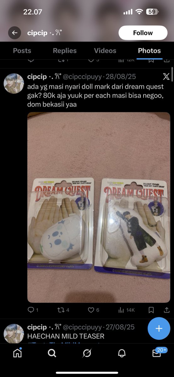 ʕ•͈ⱉ•͈ʔ ♡lovelyongie♡ ‧₊˚ 🐻ིྀ 🩰🦢💓 tweet media