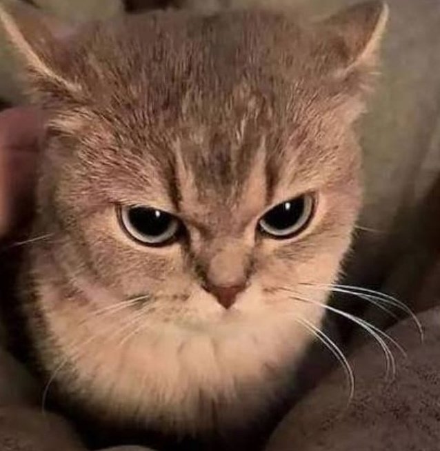 EgosShadow7's tweet image. We are losing here against Ahjummas 

whosfan.com/ranking/696ee0…