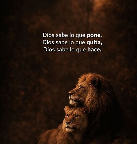 hombres's tweet photo. https://t.co/aqXcIX43Cm