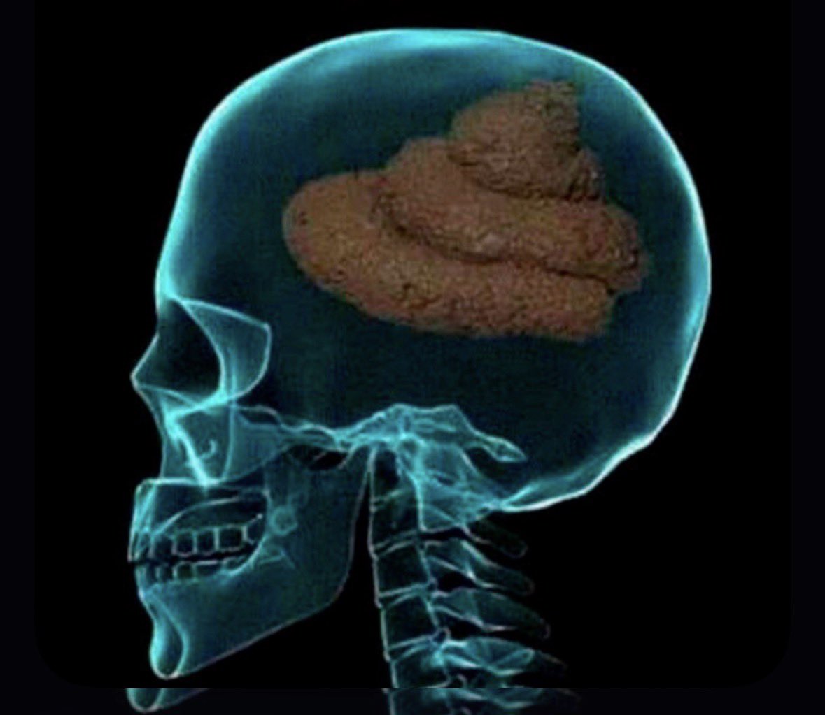 astrolilei's tweet image. mia skylar hablando de transfobia y plantando cara a los incels: ✅✅✅✅
mia skylar literalmente hablando de cualquier otra cosa: