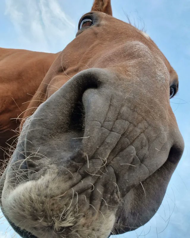 "Good Morning" - LIL CHILLER