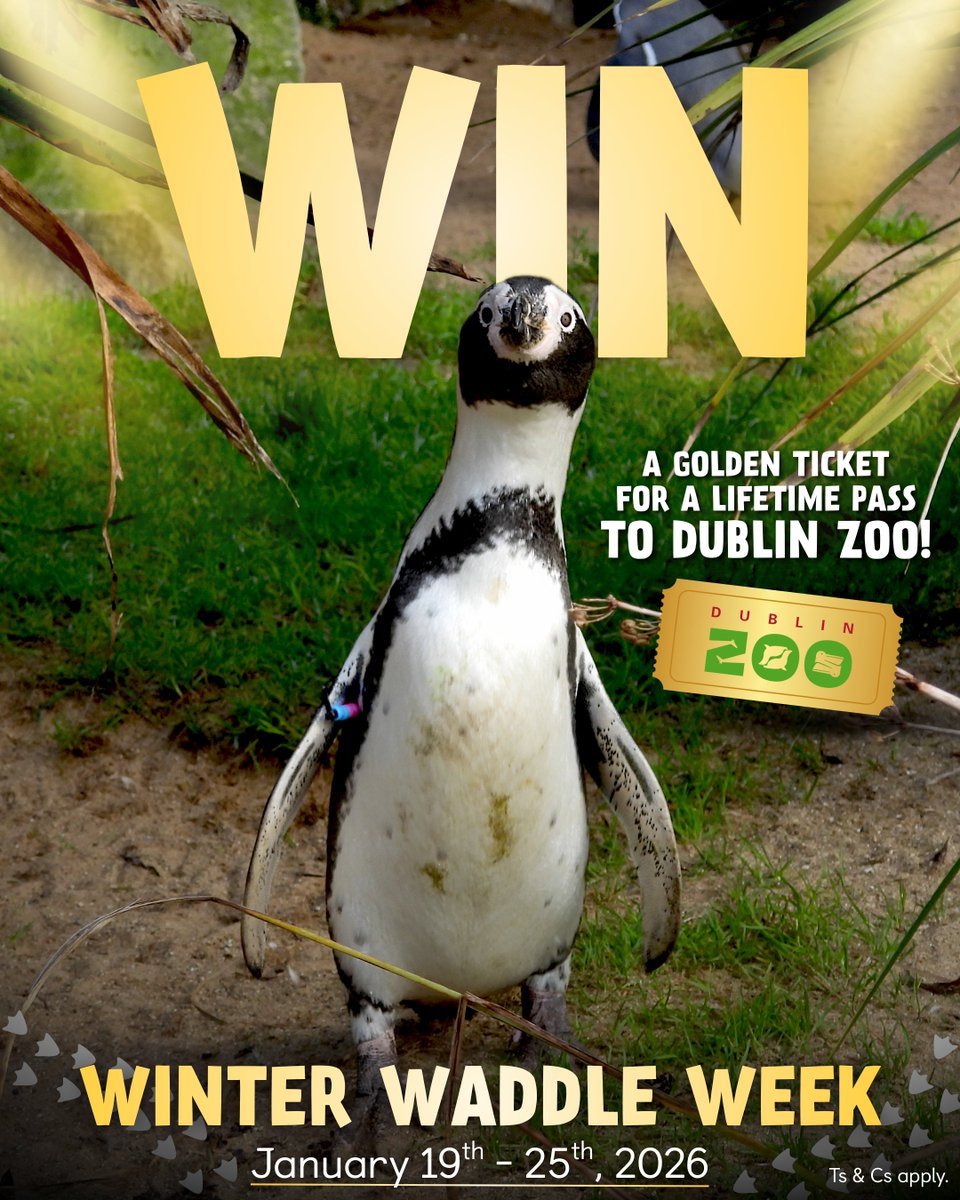 Dublin Zoo tweet media