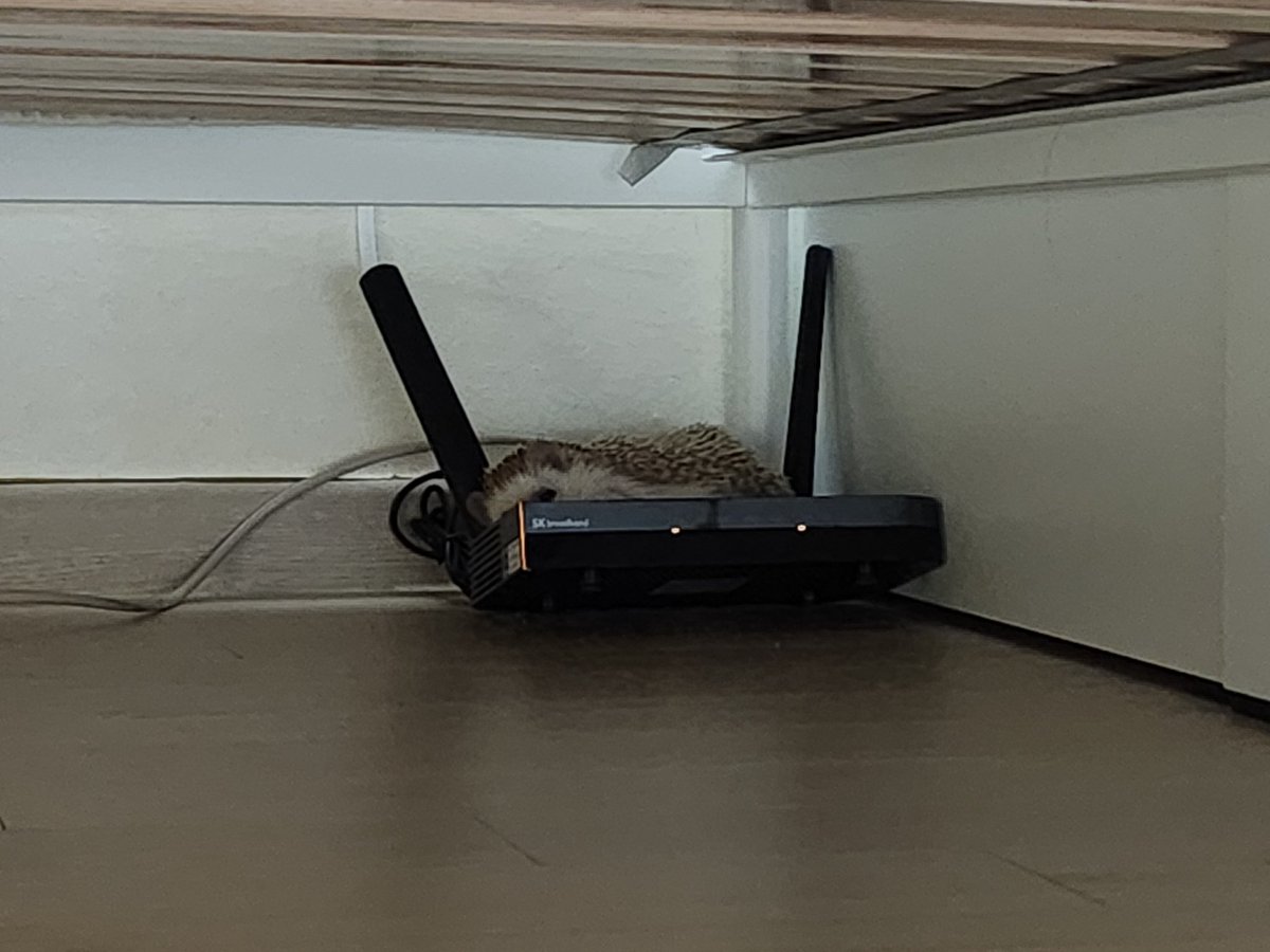 아니ㅋㅋㅋㅋㅋㅋㅋㅋㅋㅋㅋ 우리 애기 누워있다가 기우뚱.하고 뒤로 기울어져서 진짜 와하학 웃음ㅋㅋㅋㅋㅋㅋㅋ 너무 웃겨 이대로 체념해서 가만히 있는 게 너무 웃겨ㅠㅠ 넌 진짜 웃수저 고슴도치야ㅋㅋㅋㅋㅋㅋㅋㅋㅋㅋㅋㅋㅋ