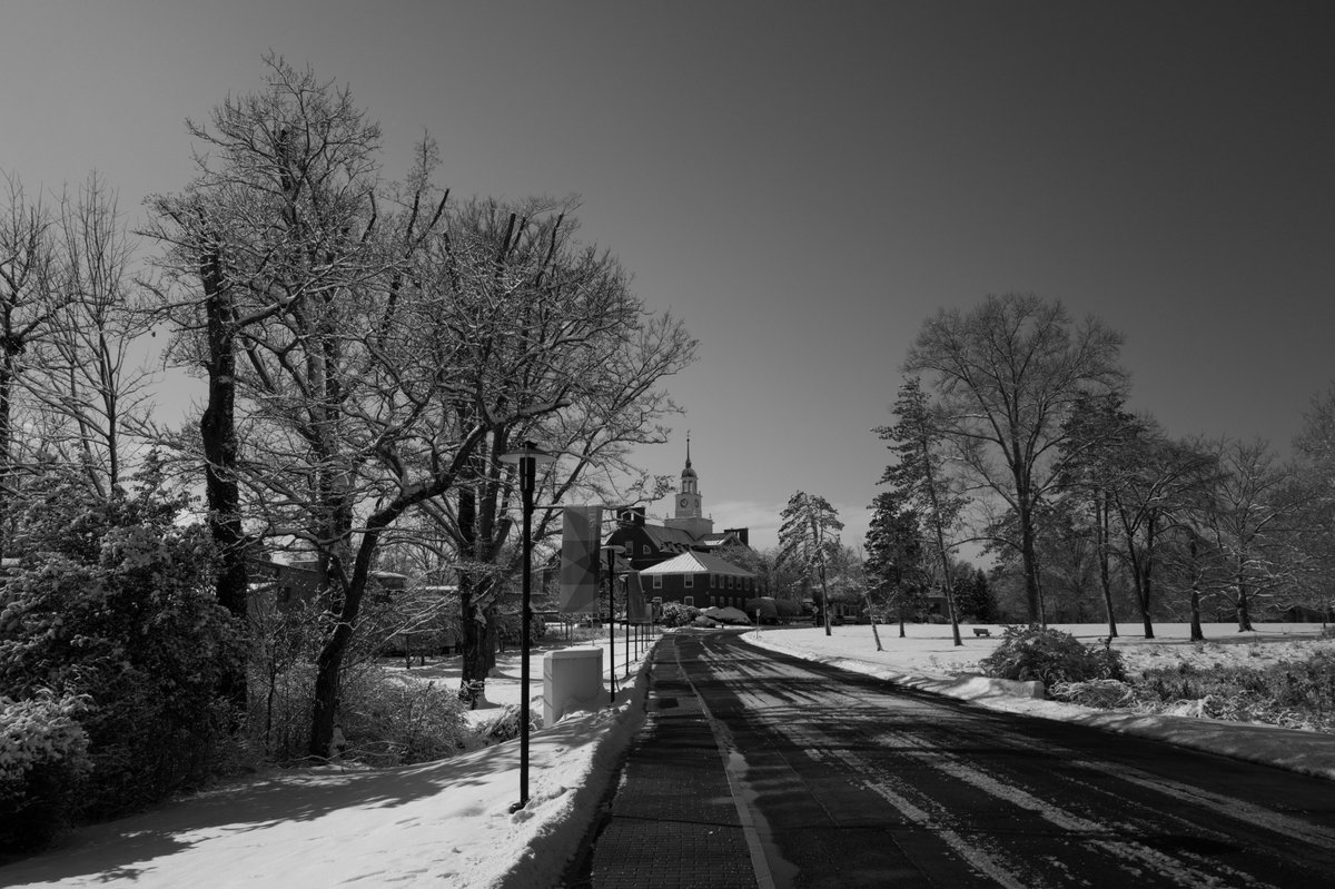 ❄️ A hush of snow across the Institute for Advanced Study campus—captured on film by Fernando Brancoli, Member (2025–26) in the School of Social Science, using his Leica M3, a 35 mm analog camera from the 1950s.