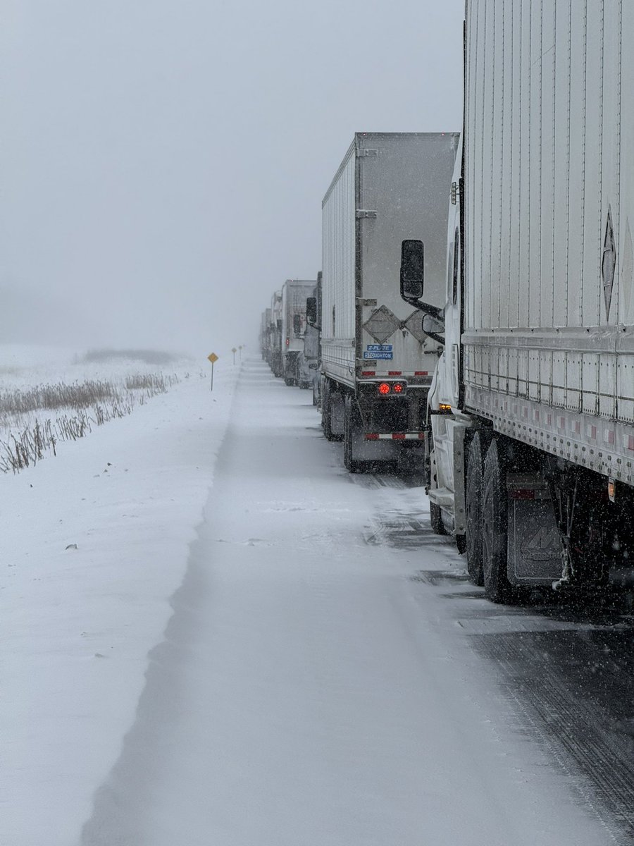 Jonathan P tweet media