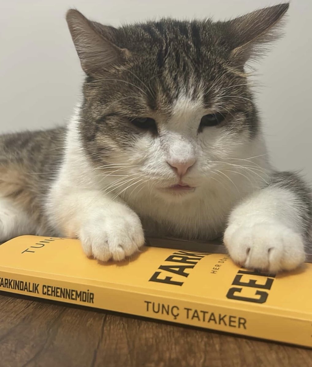 tunctataker's tweet photo. Bağıra çağıra yapılan tüm gösteriler, bir olmamışlığa, eksiklik ve değersizlik duygularına işaret eder. Olmamışlık gürültülüdür, olmuşluk ise sakin ve dingin. İnsan doğasının en ironik yanlarından biri, gerçek gücü olanların sessizce yol almaları, sahte gücü olanların ise sürekli gürültü yapmasıdır. 

Bu durum, psikolojik bir zorunluluktan kaynaklanır. İçsel boşluklar, dışsal gösterilerle doldurulmaya çalışılır, ancak bu çaba her seferinde eksikliği daha da belirgin hale getirir. Bağıra çağıra yapılan tüm gösteriler, aslında içerideki büyük boşluğun yankısıdır. Kendi değerinden emin olmayan kişi, sürekli olarak bu değerini kanıtlama ihtiyacı duyar. Her kim, hayatındaki bir kavramı aşırı süslüyor ve onu insanlara parlatarak sunuyorsa, içeride ihmal ettiği, kimsenin görmesinden hoşlanmayacağı bir gerçeklik var demektir. Kirlenmiş ve yıpranmış bir iç dünyadan kaçmanın en iyi yolu, dışarıyı sürekli parlatmaktır. 

Sosyal medyadaki abartılı mutluluk paylaşımları, işyerinde sürekli başarılarını anlatma ihtiyacı, ilişkilerdeki aşırı romantik jestler, bunların hepsi aynı kökten beslenir. İçerideki değersizlik ve yetersizlik duygularından. 

Gerçek güç ise tam tersine çalışır. İçsel huzura ulaşmış, kendi değerini bilen kişi, bunu ispatlama gereği duymaz. Tıpkı güçlü bir ırmak gibi, sessizce akar ama varlığını herkes hisseder. Bu kişiler konuştuklarında dinlenir, çünkü sözlerinin arkasında gerçek bir derinlik vardır. Gürültü yapmaya ihtiyaç duymazlar çünkü varlıkları zaten yeterince güçlüdür. “Eğer bir Kral 'Ben Kralım' diye bağırmak zorunda kalıyorsa gerçek bir Kral değildir” sözü bu gerçeği mükemmel özetler. 

Gerçek güç kendini kanıtlamak zorunda kalmaz, doğal olarak hissedilir. Sahte olan her şey ise sürekli kendini kanıtlama ihtiyacı duyar, çünkü unutulmaya karşı savaşır. Bu durum sadece güç dinamikleriyle sınırlı değildir. Gerçek aşk sessizce hissedilir ve yaşanır, sahte aşk ilan edilir. Gerçek bilgelik alçakgönüllüdür, sahte bilgelik her fırsatta kendini gösterir. Gerçek zenginlik gösterişsizdir, sahte zenginlik vitrine çıkar. Çünkü içerideki boşluk, dışarıda tamamlanmaya çalışılır. 

Bu nedenle hayatımızda gürültülü olan alanları incelemek, aslında hangi konularda eksik hissettiğimizi anlamamıza yardımcı olur. 

- Tunç Tataker (Farkındalık Cehennemdir)