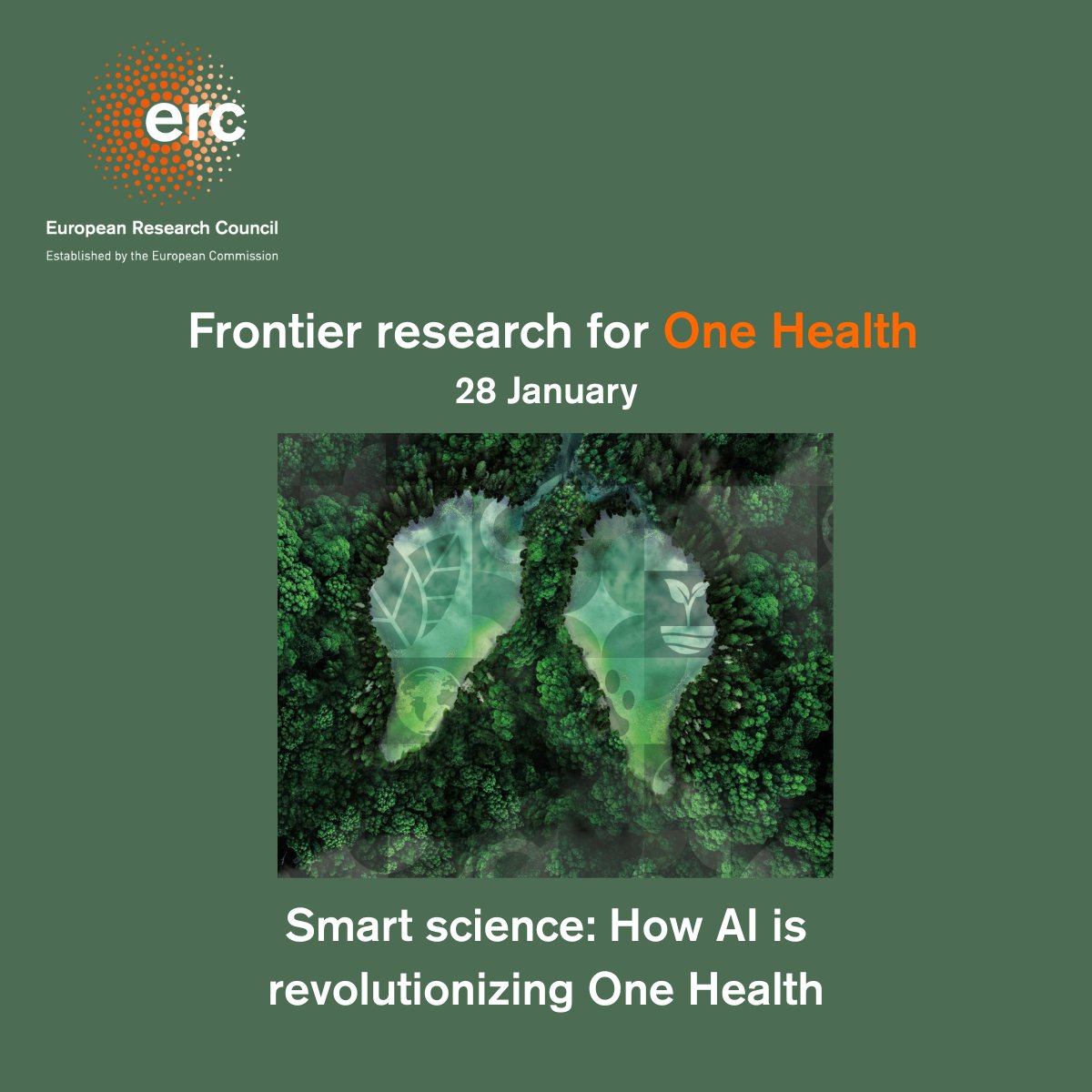 European Research Council (ERC) tweet media