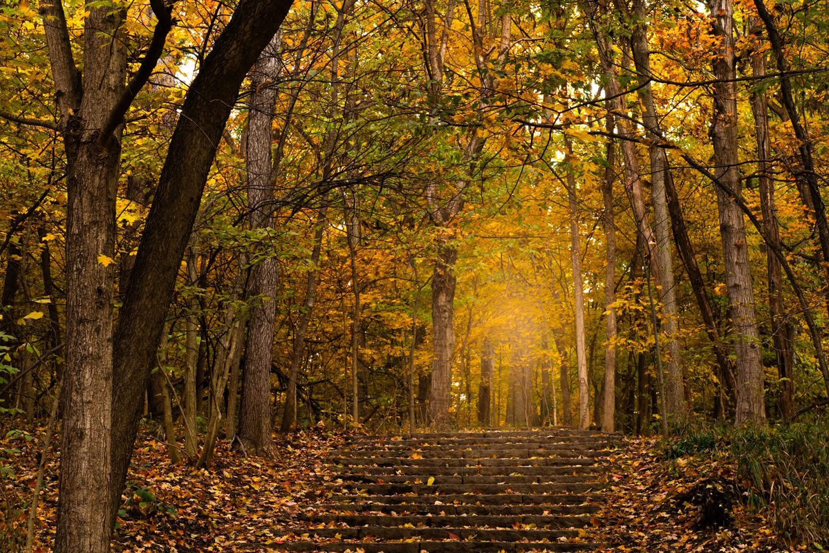 GhostyyyBabeee's tweet image. 