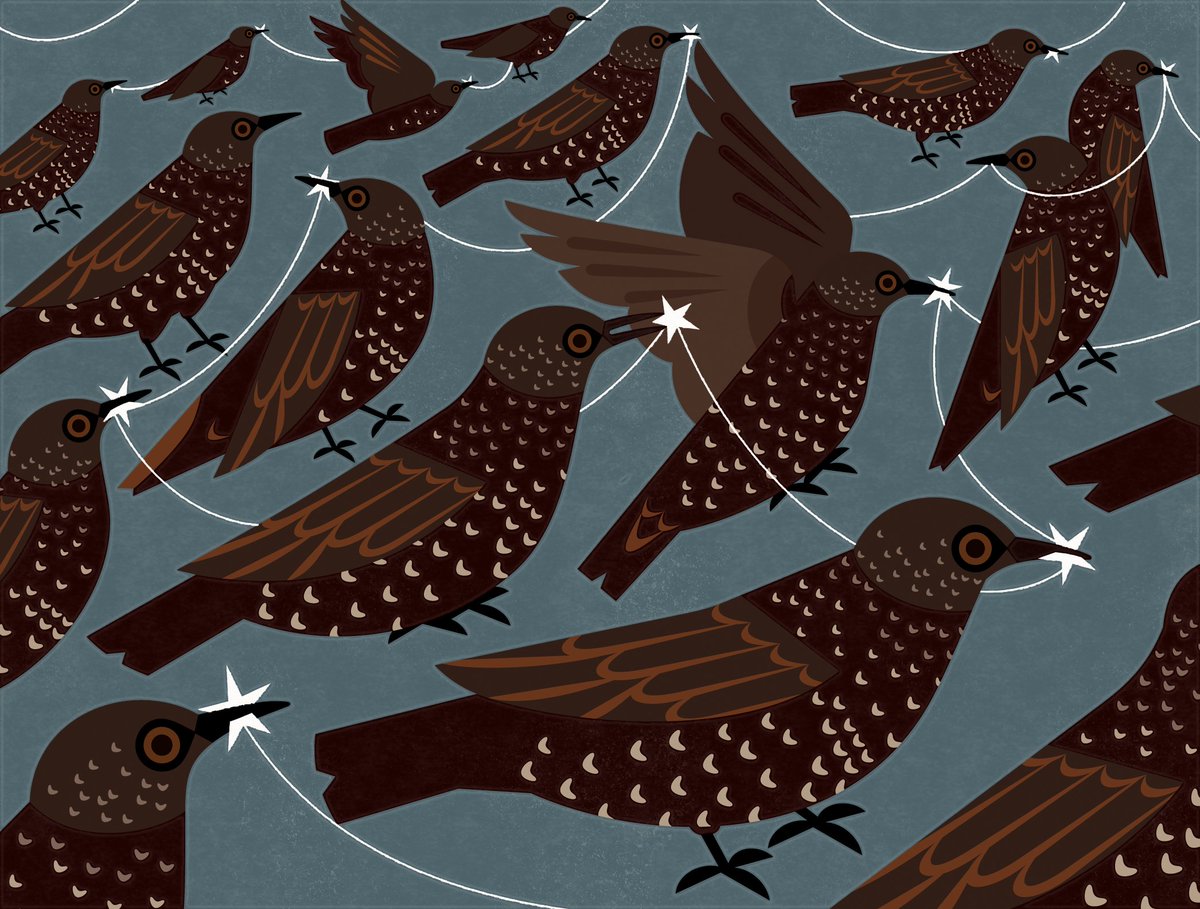 Alex Tomlinson 🦉 tweet media