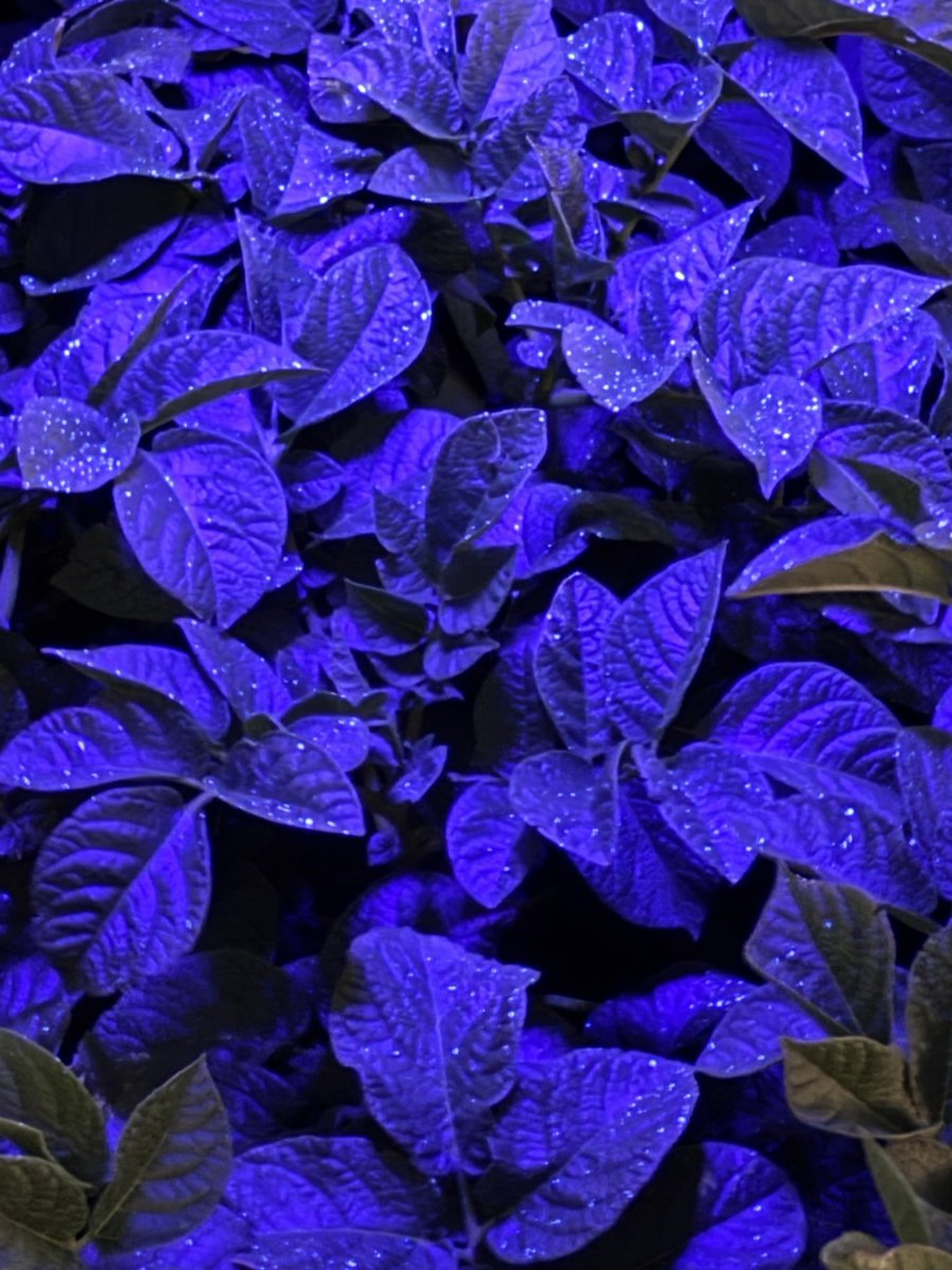 Tomás Fernández tweet media