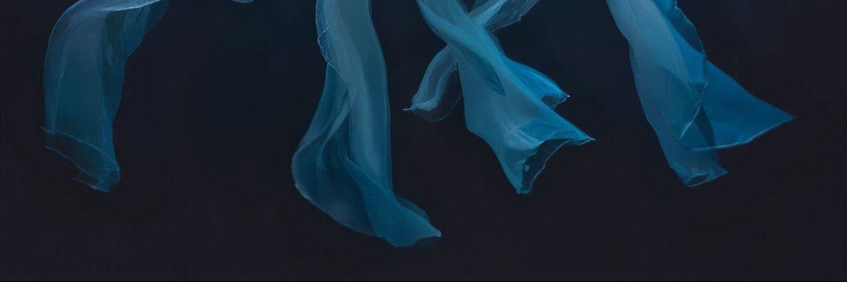 godmitzu's tweet image. Tap the post to see an underwater work of art