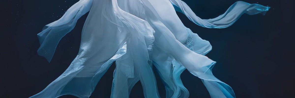 godmitzu's tweet image. Tap the post to see an underwater work of art