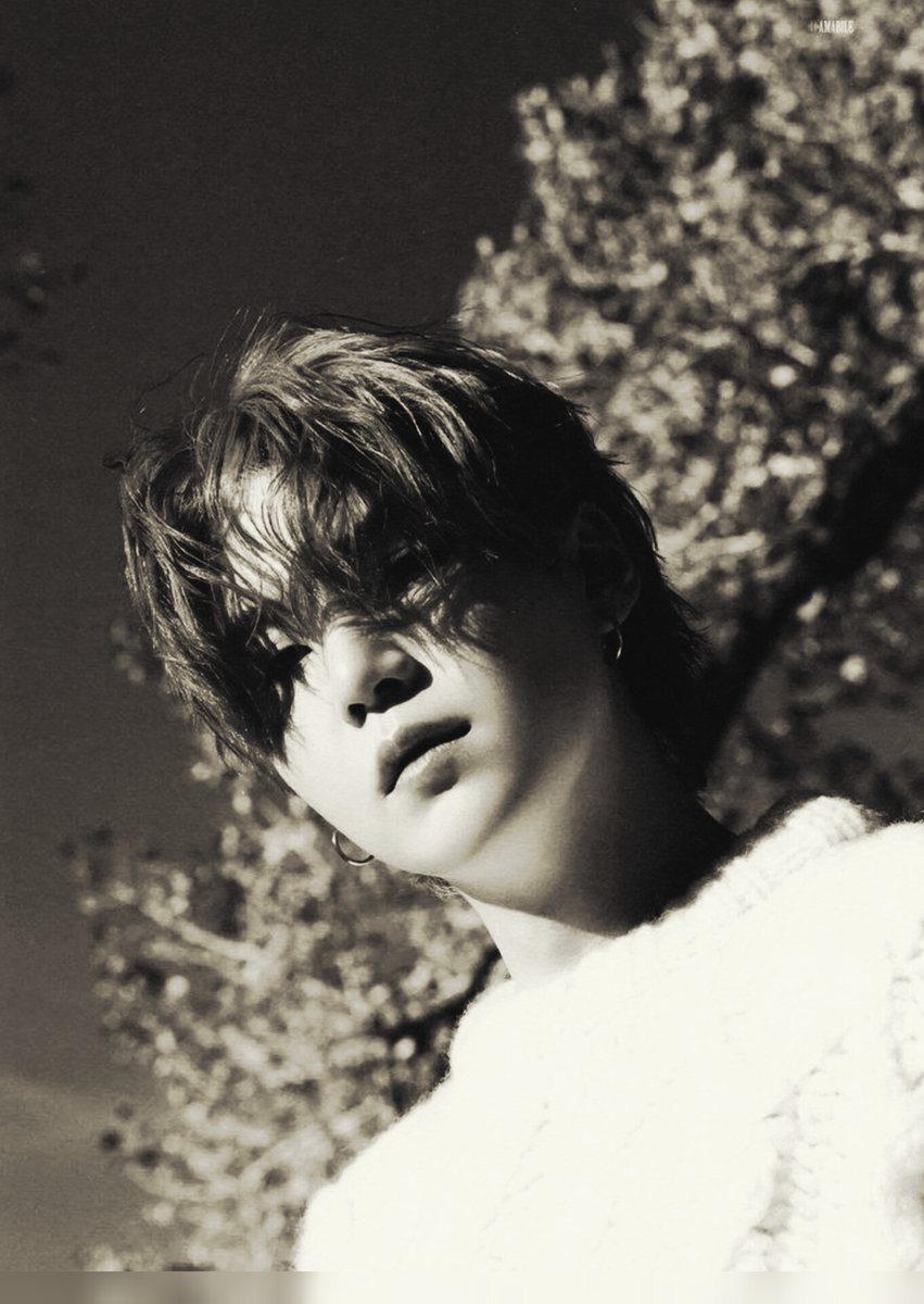 ashesofblue's tweet image. ㅤㅤ𝐻𝑒'𝑠 𝑎 𝑑𝑟𝑒𝑎𝑚.