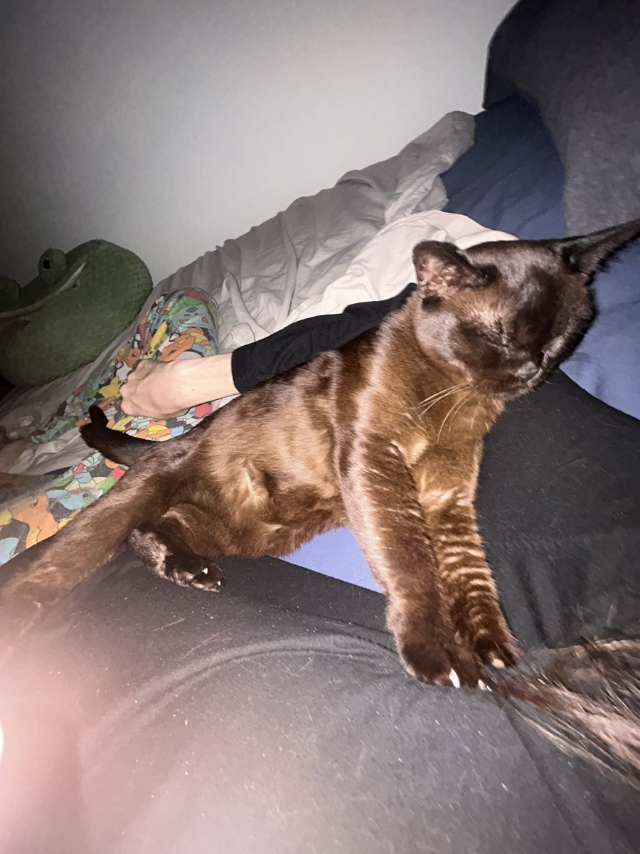 dotamgee's tweet image. She just hates me ig