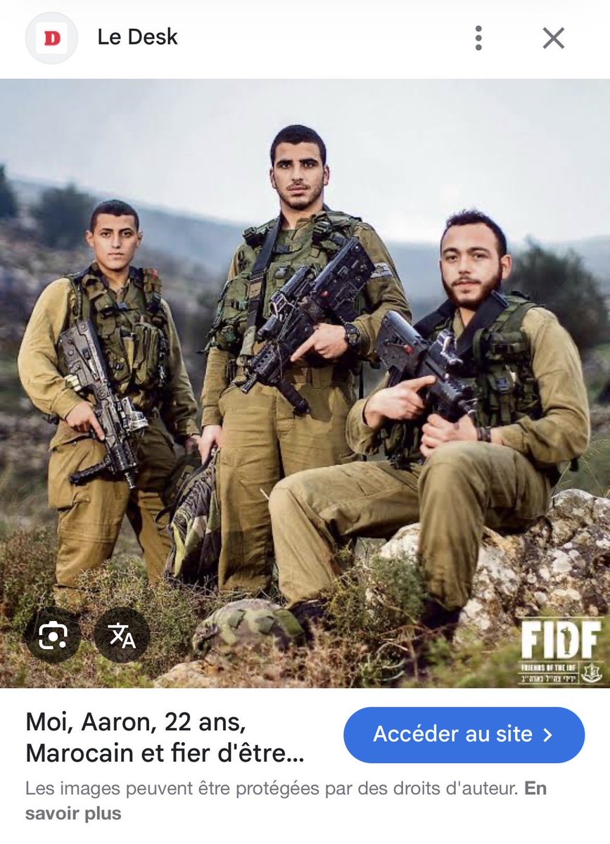 🇩🇿🇵🇸 tweet media