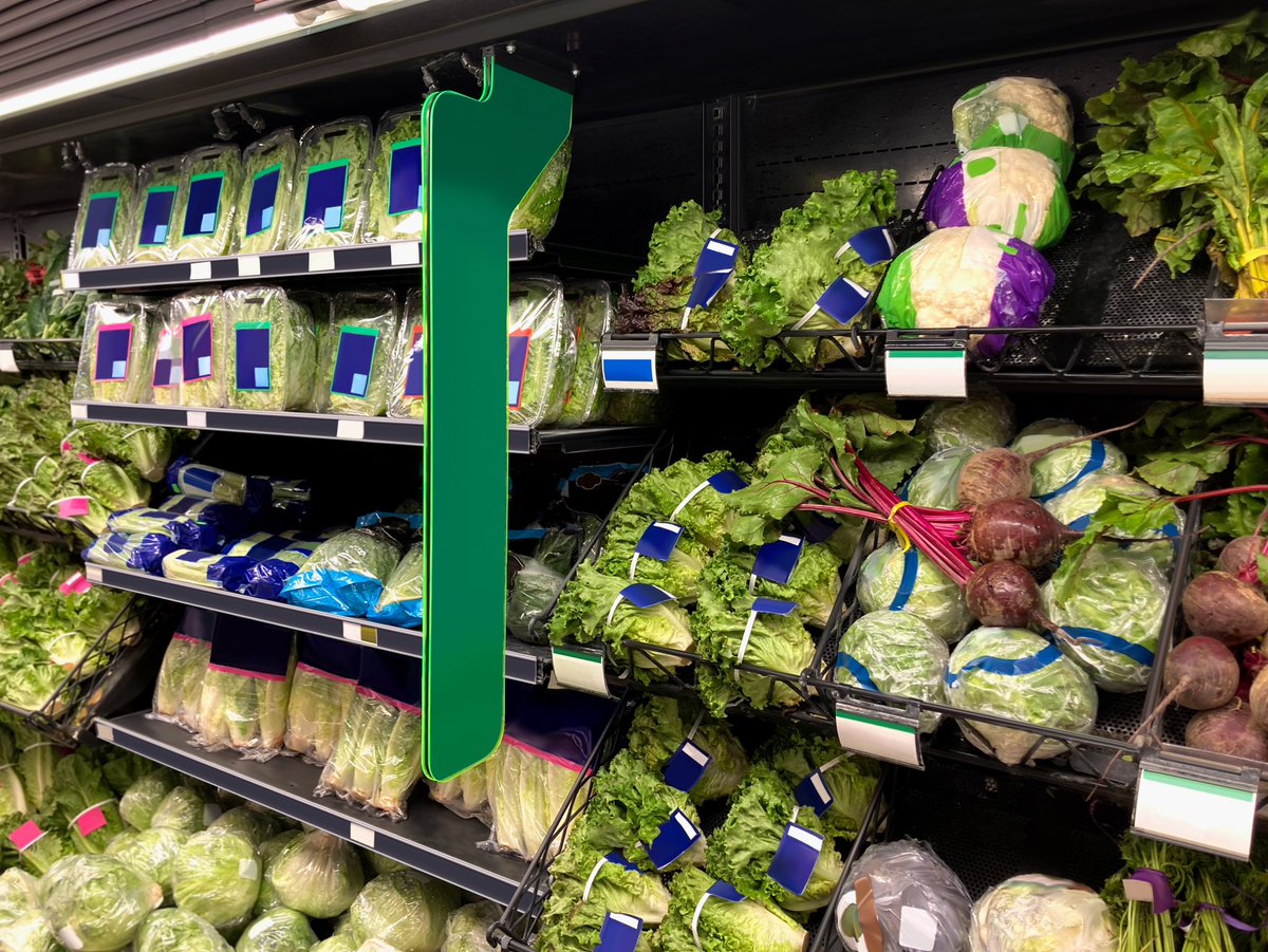 ReciklerkoCans's tweet image. A fresh produce display filled with leafy greens, lettuce, cabbage, and beets neatly arranged in a refrigerated supermarket shelf.

istockphoto.com/portfolio/Pand…

#freshproduce #leafygreens #lettuce #cabbage #beets #vegetables #supermarket #freshfood #gettyimages #istockphoto #retail