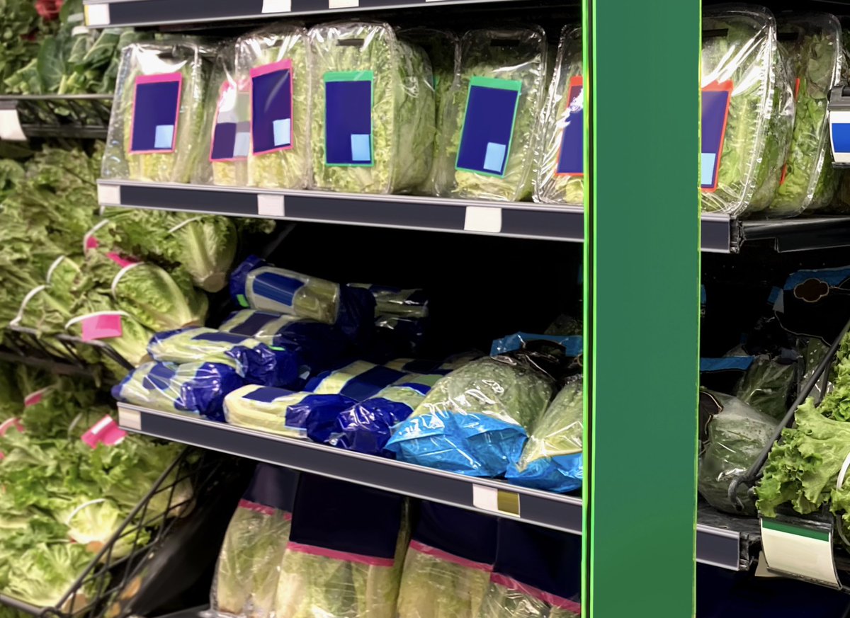 ReciklerkoCans's tweet image. A fresh produce display filled with leafy greens, lettuce, cabbage, and beets neatly arranged in a refrigerated supermarket shelf.

istockphoto.com/portfolio/Pand…

#freshproduce #leafygreens #lettuce #cabbage #beets #vegetables #supermarket #freshfood #gettyimages #istockphoto #retail