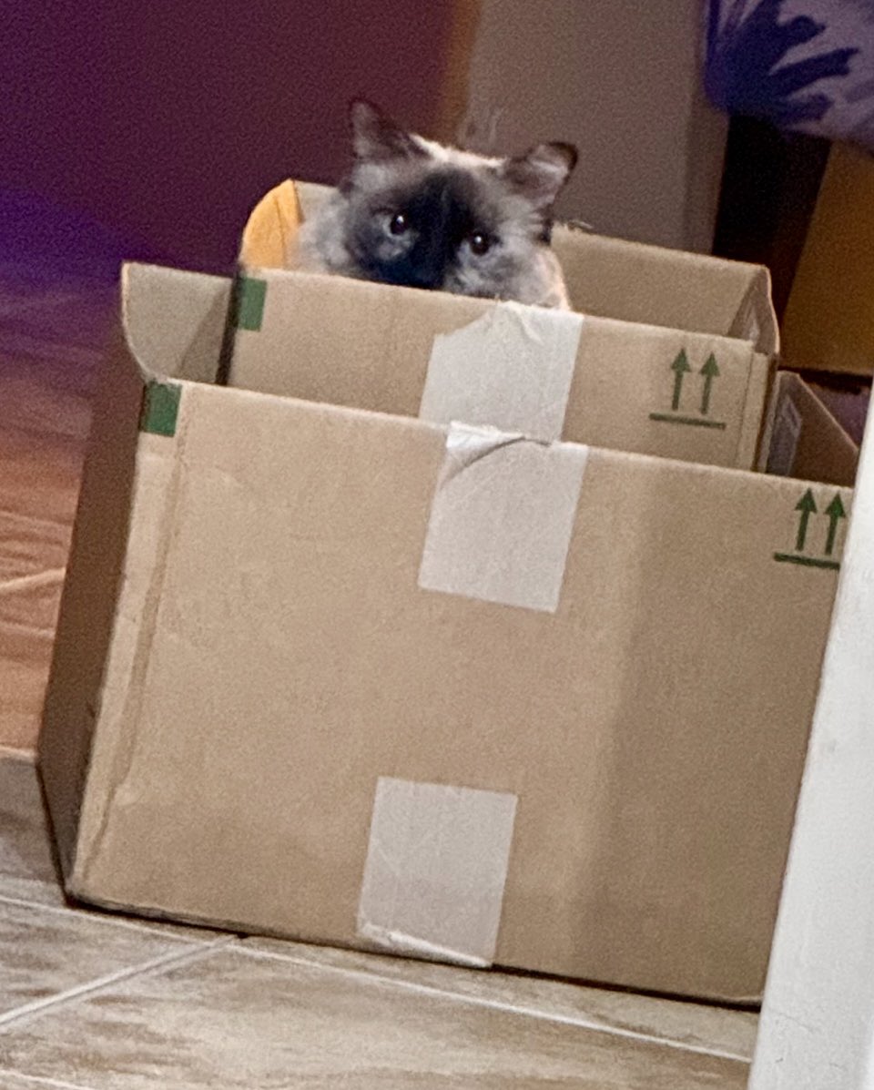 Crazy RxMan tweet media