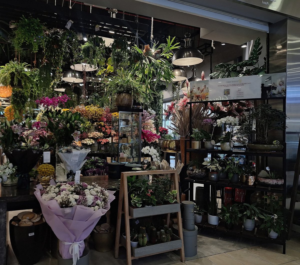 بحب الورد جدا وبحب اي حد يجيبلي ورد