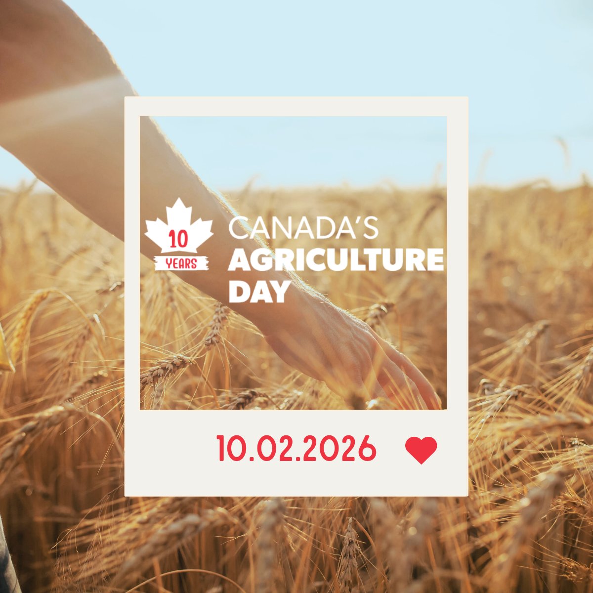 Turkey Farmers of Canada tweet media