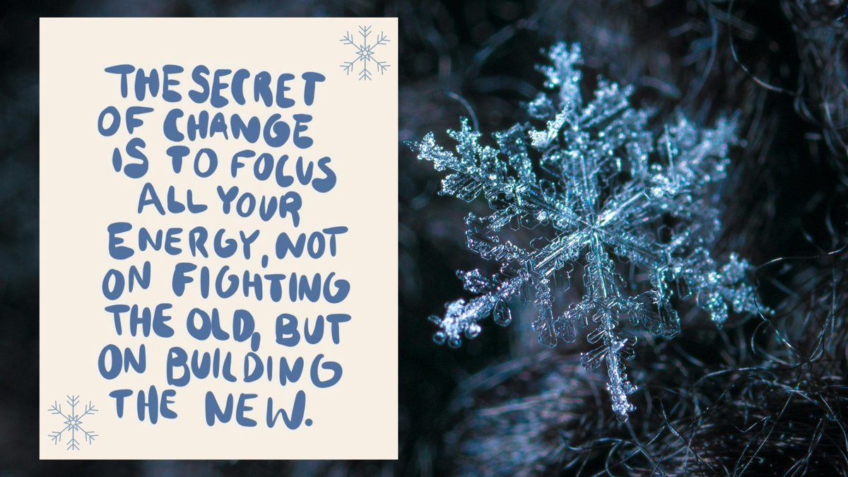 MadisonChampaignESC tweet media