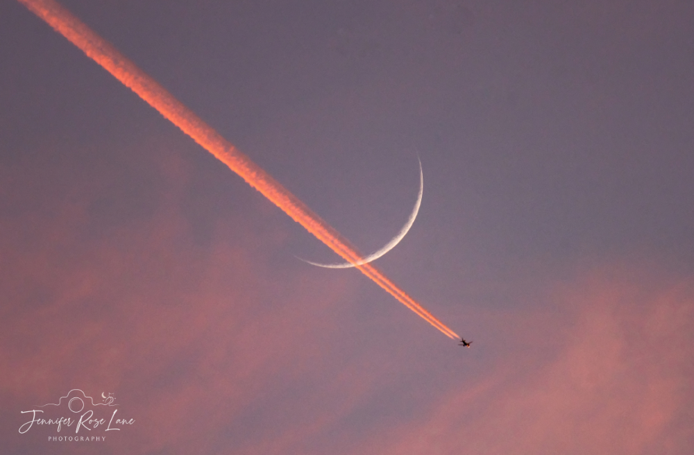 Jennifer Rose Lane tweet media