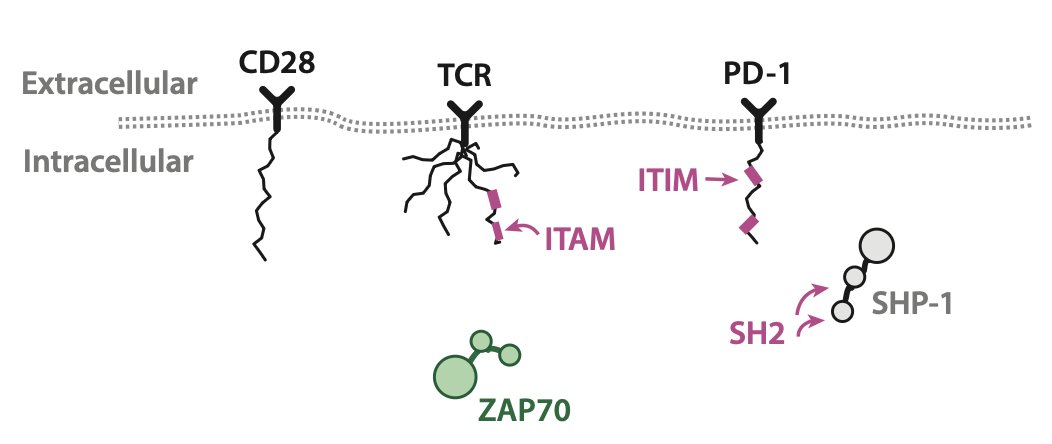 allardlab tweet media