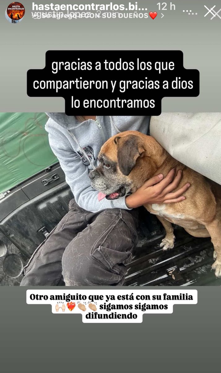 Perritos suertudos que ya están de regreso con sus humanos. Las rrss son imprescindibles para que estas historias tengan buen final. Colabora difundiendo. #incendiochile #perrosencontrados #hogartemporal