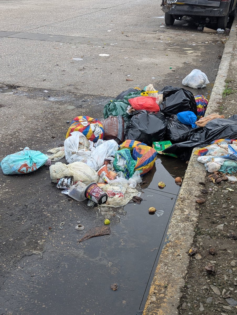mariscal672771's tweet photo. @urvaseo buenos días por favor ayúdenos a recoger la basura que al parecer el carro se le olvidó pradera 2 entre la MzD13 y 14 https://t.co/nGopEJMImX