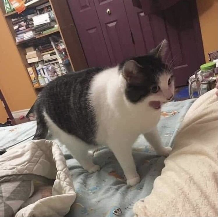 eomseoji's tweet image. 